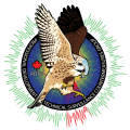 Kestrel-Logo-PDTG-V3-800x800